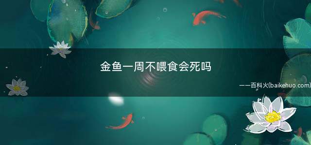 金鱼一周不喂食会死吗(金鱼一周不喂食不会死)