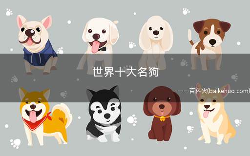 世界十大名狗(世界上最让人恐惧的猛犬)