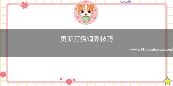 奥斯汀猫饲养技巧(奥斯汀猫咪饲养注意事项)