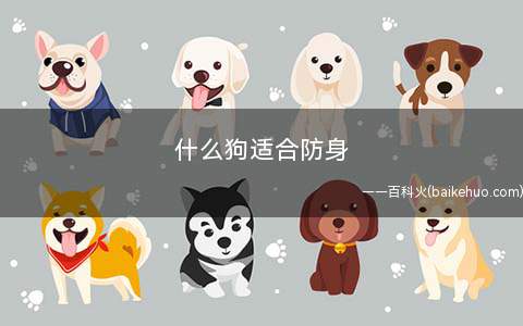 什么狗适合防身(德国牧羊犬有哪些特点)