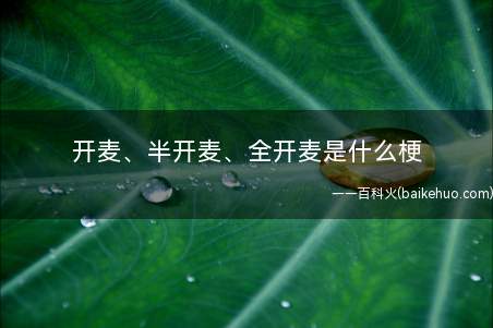 开麦、半开麦、全开麦是什么梗(闭麦、半开麦、全开麦是什么意思)