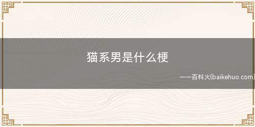 喜欢猫系男是什么意思