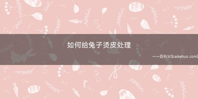 如何给兔子烫皮处理(浸烫脱毛的方法)