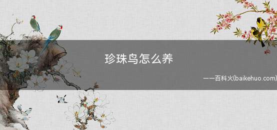 珍珠鸟怎么养(珍珠鸟的功效与作用)