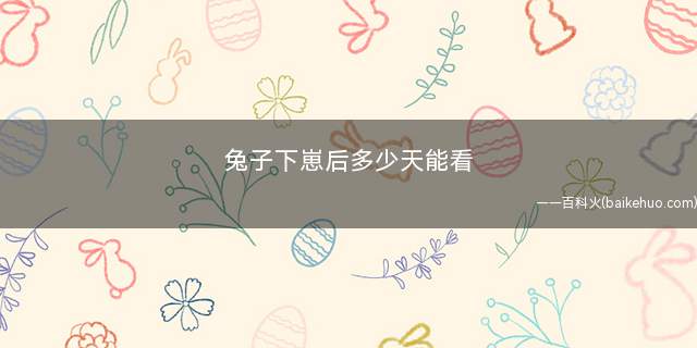 兔子下崽后多少天能看