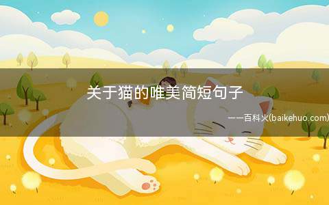 关于猫的唯美简短句子