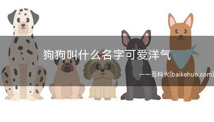 狗狗叫什么名字可爱洋气