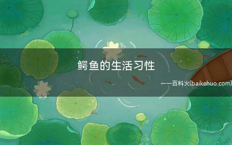鳄鱼的生活习性(鳄鱼的消化功能特好)
