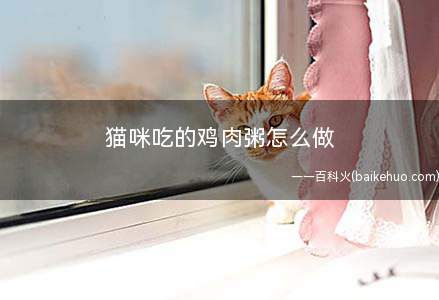 猫咪吃的鸡肉粥怎么做(鸡胸肉和鸡腿有什么区别)