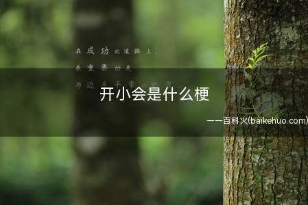 开小会是什么意思