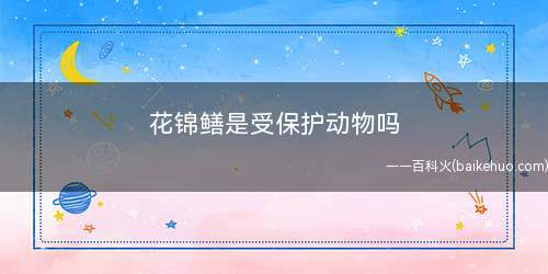 花锦鳝是受保护动物吗(动物之所以成为保护动物)
