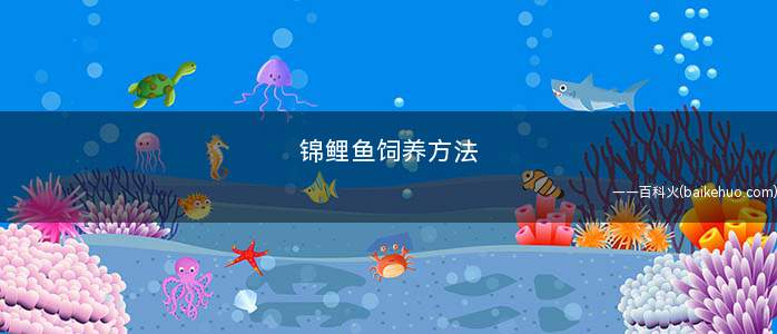 锦鲤鱼饲养方法(水族箱饲养饵料和投喂方法)