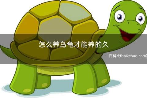 怎么养乌龟才能养的久