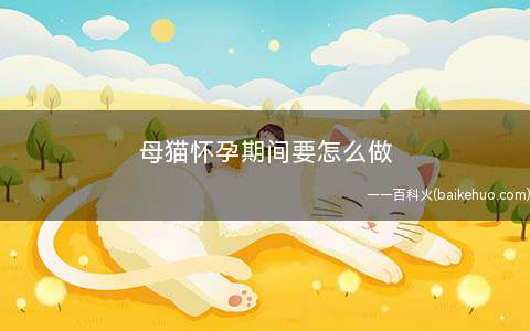母猫怀孕期间要怎么做(猫咪在生产的时候会给母猫带来一定的危险)