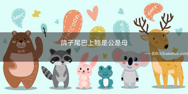 鸽子尾巴上翘是公是母(分辨鸽子公母的正确方法)