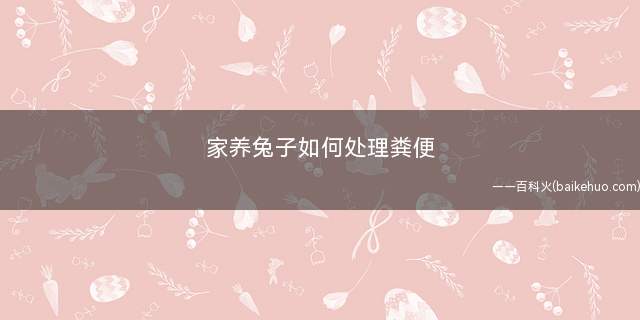 家养兔子如何处理粪便(养兔子处理粪便方法)