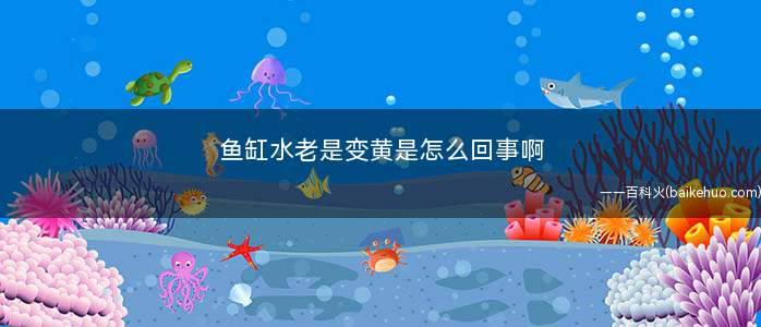 鱼缸水老是变黄是怎么回事啊
