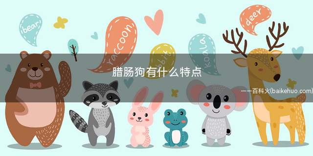 腊肠狗有什么特点(腊肠犬的性格)