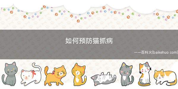 如何预防猫抓病(宠物卫生的注意事项)