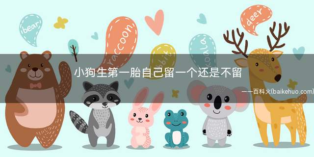 小狗生第一胎自己留一个还是不留(狗狗生育前需要准备什么)