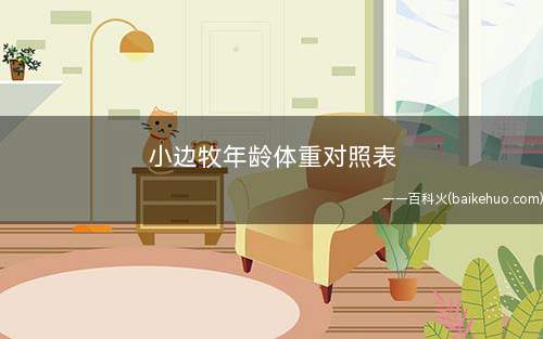 小边牧年龄体重对照表(一只优质的边境牧羊犬有哪些)