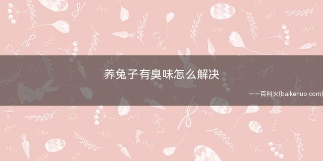 养兔子有臭味怎么解决