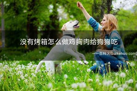 没有烤箱怎么做鸡胸肉给狗狗吃(鸡胸肉的做法)