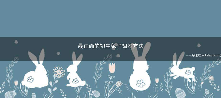 最正确的初生兔子饲养方法(兔兔喂养注意事项)
