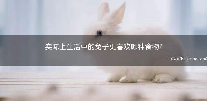 实际上生活中的兔子更喜欢哪种食物?