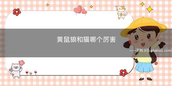 黄鼠狼和猫哪个厉害(为什么黄鼠狼会更厉害)