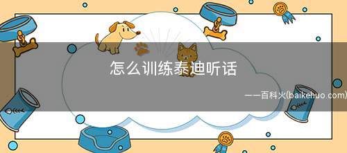 怎么训练泰迪听话