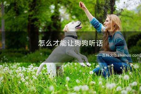 怎么才能让狗狗听话