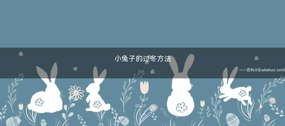小兔子的过冬方法(冬季养兔子的4大注意事项)