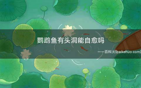 鹦鹉鱼有头洞能自愈吗(鹦鹉鱼头洞病的症状有哪些)