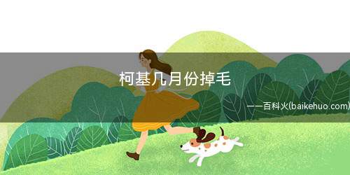 柯基几月份掉毛(宠物专用沐浴露的注意事项)