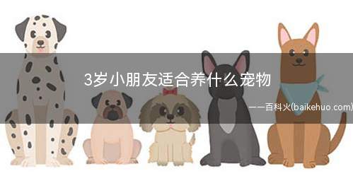 3岁小朋友适合养什么宠物