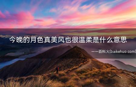 今晚的月色真美风也很温柔是什么意思