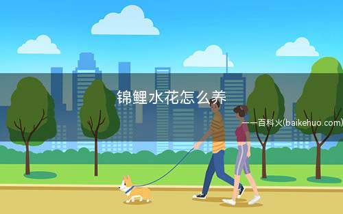 家庭养殖锦鲤水花怎么养
