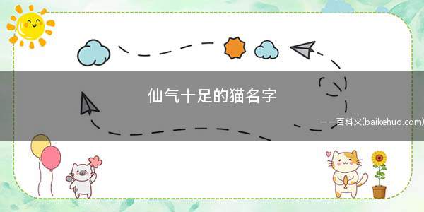 仙气十足的猫名字(2019年12月14日最新版)