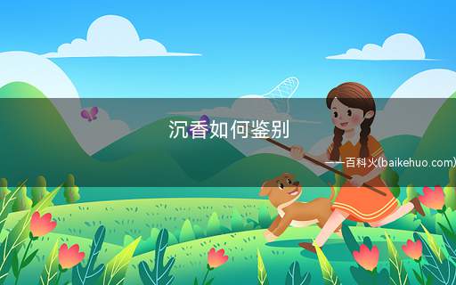 沉香如何鉴别(真沉香和烧沉香有什么区别)