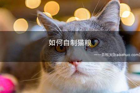 如何自制猫粮(水煮鱼鸡蛋饭的做法步骤)