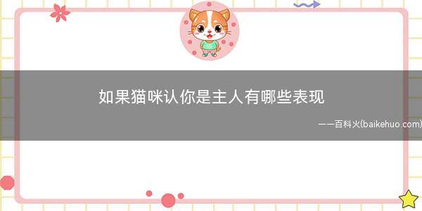 如果猫咪认你是主人有哪些表现