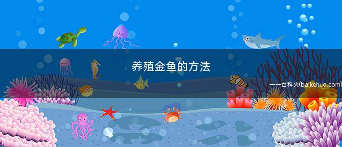 养殖金鱼的方法(养金鱼的基本技巧)