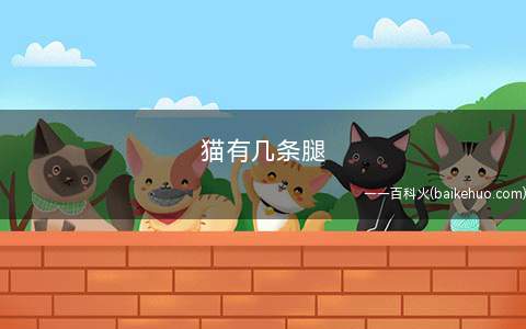 猫有几条腿(猫的身体分为头、躯干、四肢、颈、尾等组成)