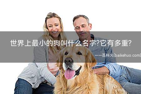 世界上最小的狗叫什么名字?它有多重?