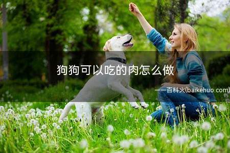 狗狗可以吃的肉怎么做(牛肉半斤、小胡萝卜1个、地瓜半个、白菜半斤。)