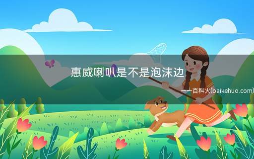 惠威喇叭是不是泡沫边