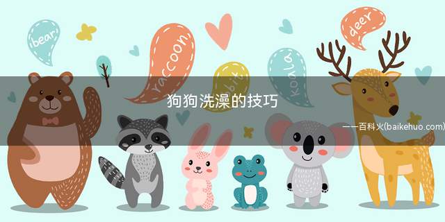 狗狗洗澡的技巧(狗狗洗澡注意事项)