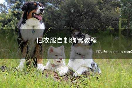 旧衣服自制狗窝教程(旧衣服和珊瑚绒布料的区别)