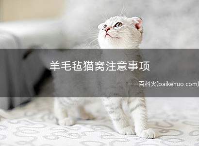 羊毛毡猫窝注意事项